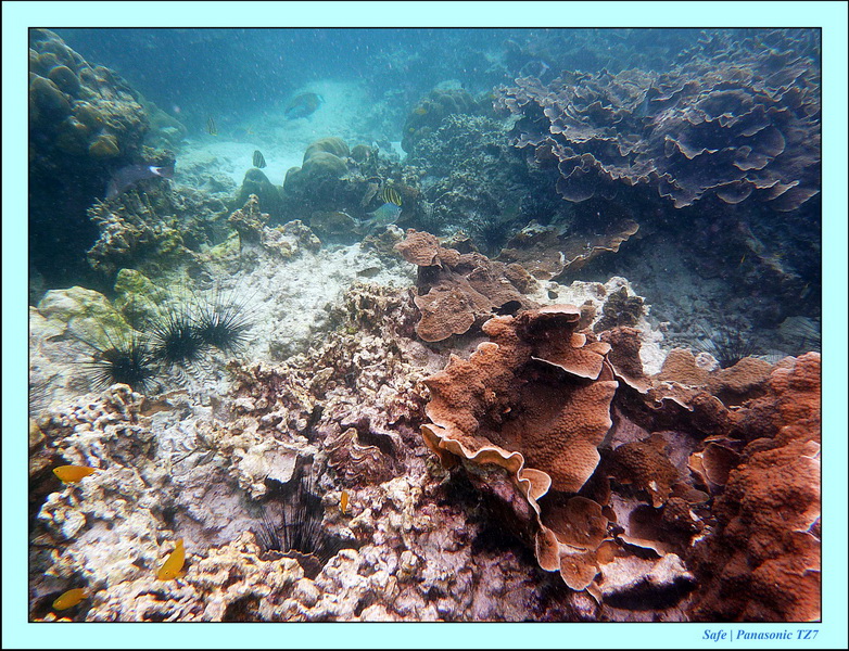 2011 - 07 - Koh Lipe 69